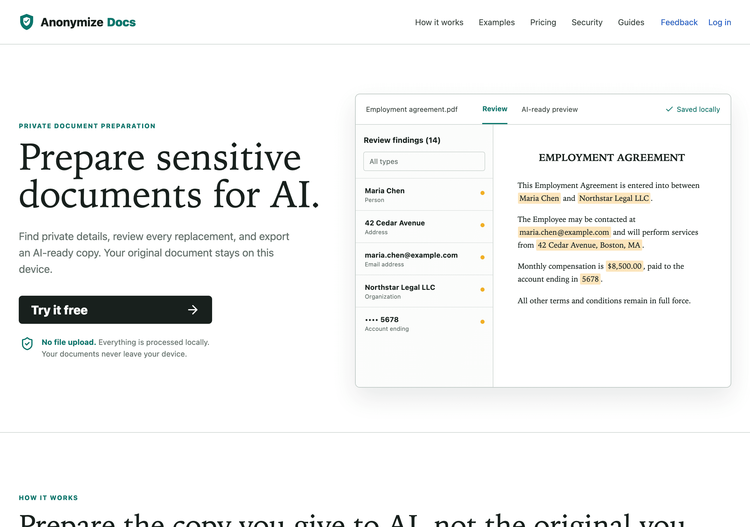 AnonymizeDocs local document review workspace
